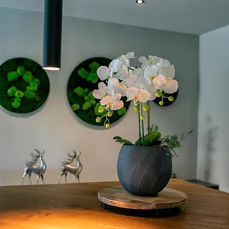 酒店 Essigmanngut 3*