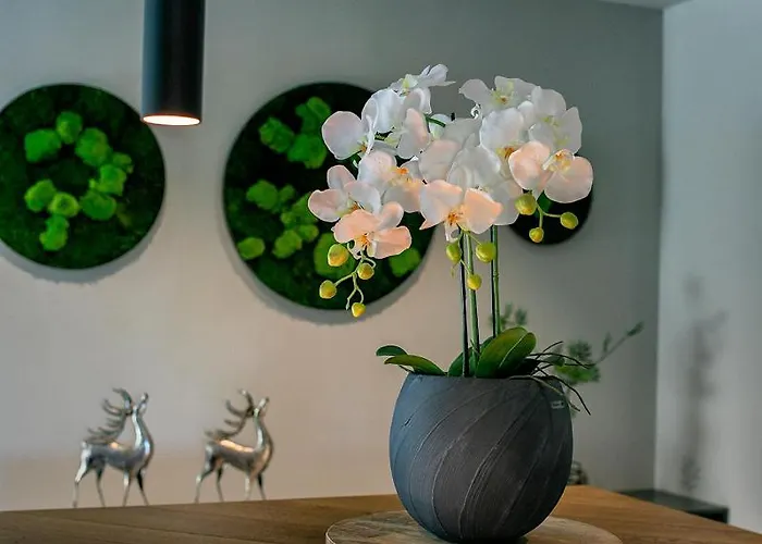 מלון Essigmanngut 3*