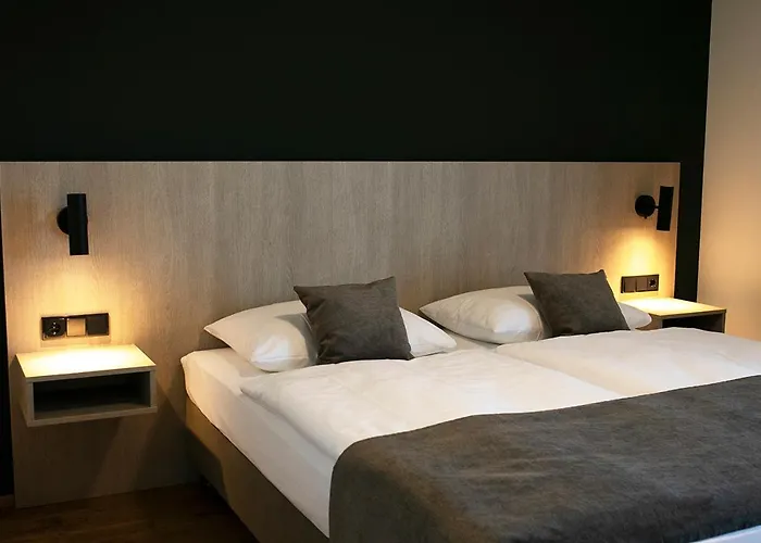 Essigmanngut מלון 3*