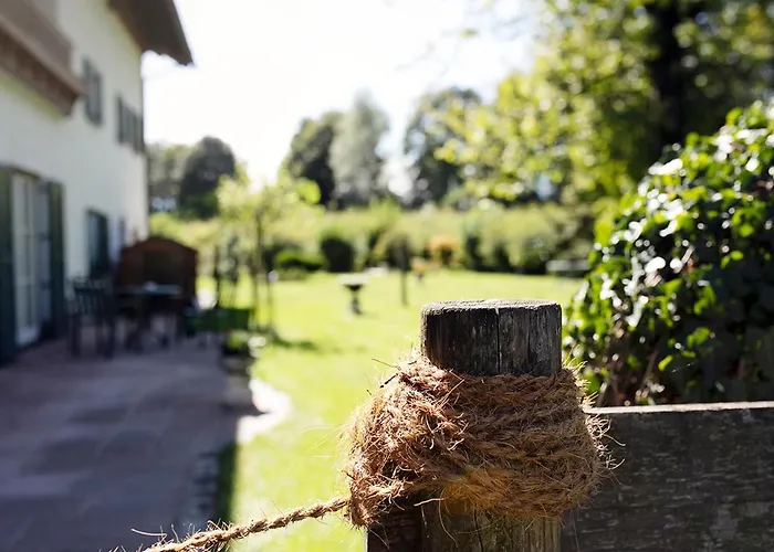 Essigmanngut אניף